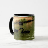 Tasse de cygne noir (Devant gauche)