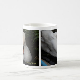 Tasse de cygne qui change la couleur