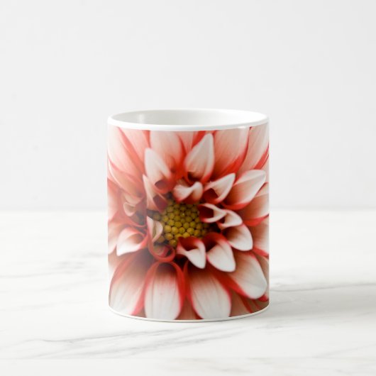 Tasse de dahlia (Centre)