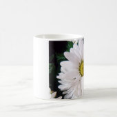 Tasse de *Daisy* (Centre)