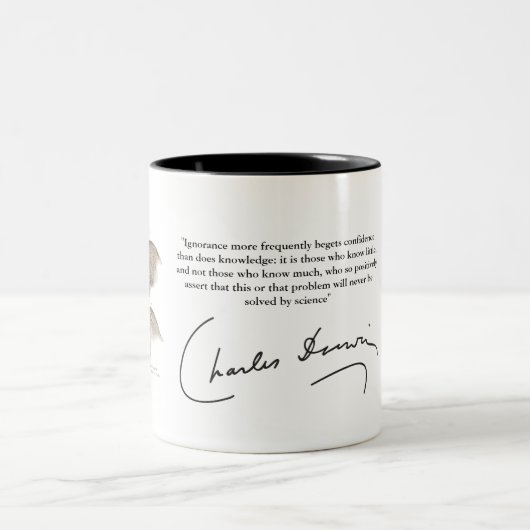 Tasse de Darwin (Centre)