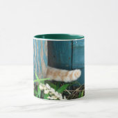 Tasse de ~ de queue de chat (Centre)