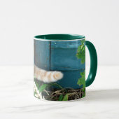 Tasse de ~ de queue de chat (Devant droit)