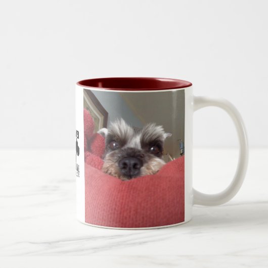 Tasse de délivrance de Schnauzer de Clarabelle (Droit)