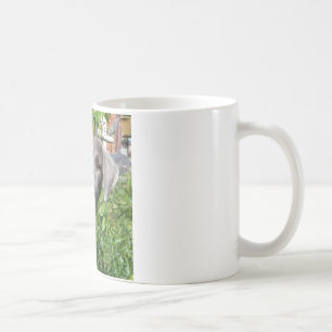 Tasse de dentelle bleue de sourire