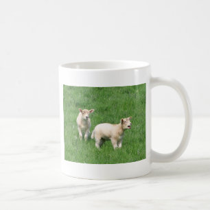 Tasse de deux agneaux