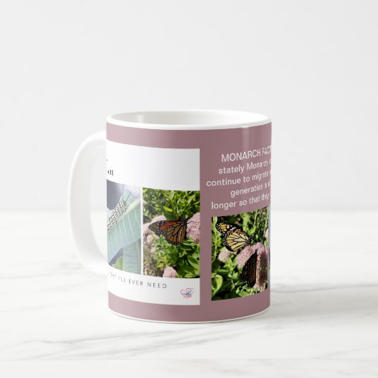 TASSE DE FAIT DE PAPILLON DE MONARQUE (Devant gauche)