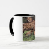 Tasse de famille de guépard (Devant gauche)