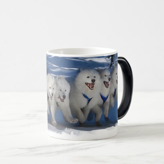 Tasse "de fan d'ombre" (Devant droit)