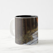 Tasse de faon (Devant gauche)