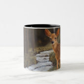 Tasse de faon (Centre)