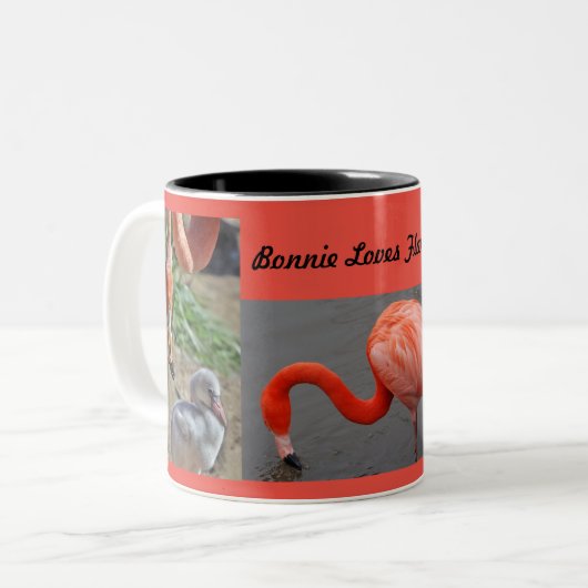 Tasse de Flamants roses (Devant gauche)