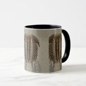 Tasse de fossile de Trilobite (Devant droit)