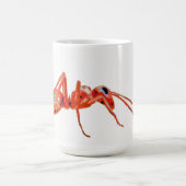 tasse de fourmi (Centre)