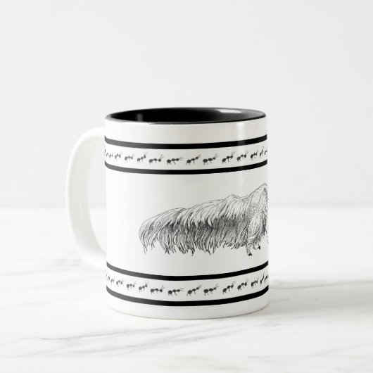 Tasse de fourmilier (Devant gauche)