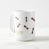 Tasse de fourmis d'acrobate (Devant gauche)