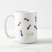 Tasse de fourmis d'acrobate (Gauche)