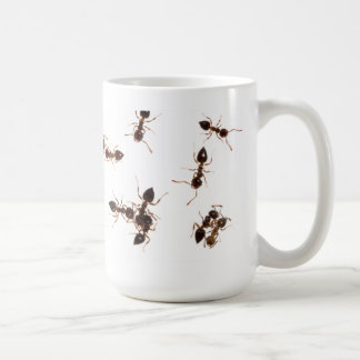 Tasse de fourmis d'acrobate