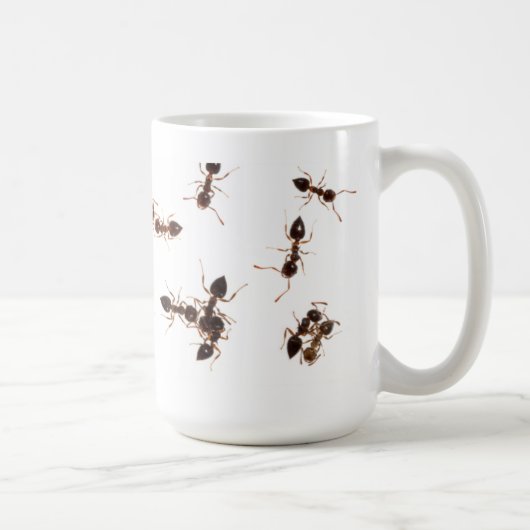 Tasse de fourmis d'acrobate (Droite)