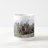 Tasse de Fox de bébé (Centre)