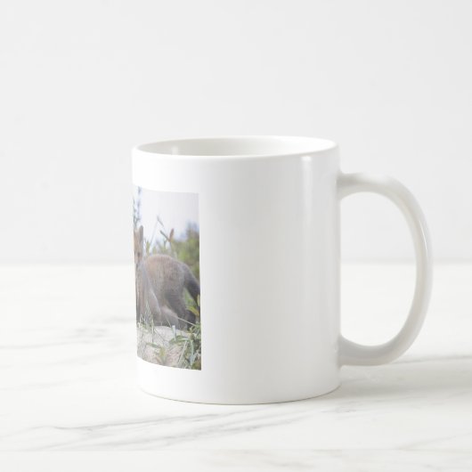 Tasse de Fox de bébé (Droite)