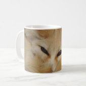 Tasse de Fox de Fennec (Devant gauche)