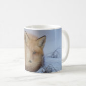Tasse de Fox, tasse rusée, renards, nature, faune (Devant droit)