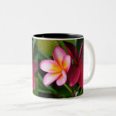 Tasse de Frangipani : Coucher du soleil de Darwin (Devant droit)
