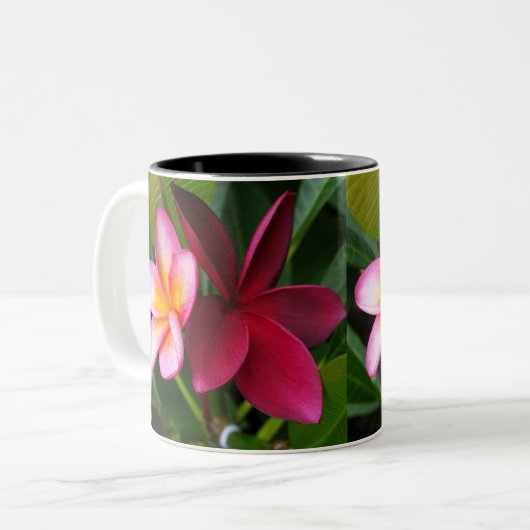 Tasse de Frangipani : Coucher du soleil de Darwin (Devant gauche)