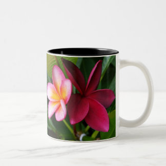 Tasse de Frangipani : Coucher du soleil de Darwin