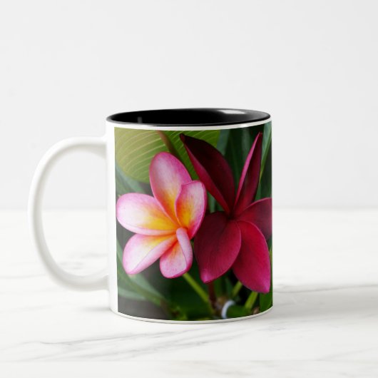 Tasse de Frangipani : Coucher du soleil de Darwin (Gauche)