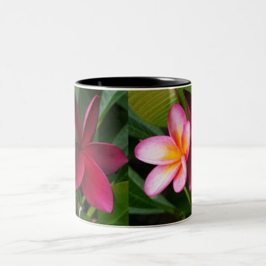 Tasse de Frangipani : Coucher du soleil de Darwin (Centre)