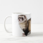 Tasse de furet (Gauche)
