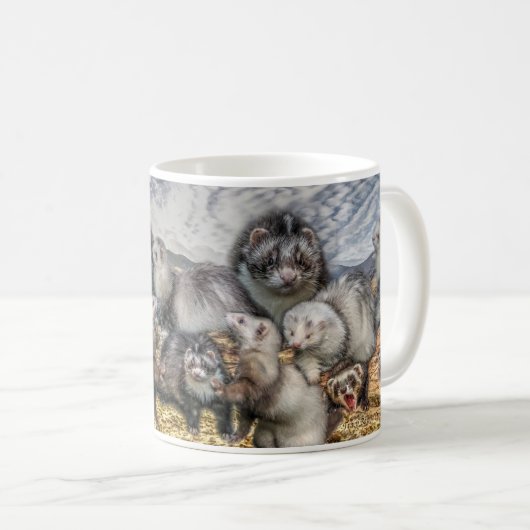 tasse de furet (Devant droit)