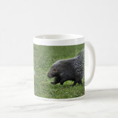 Tasse de galop de porc-épic (Devant droit)