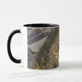 Tasse de Gaudi (Gauche)