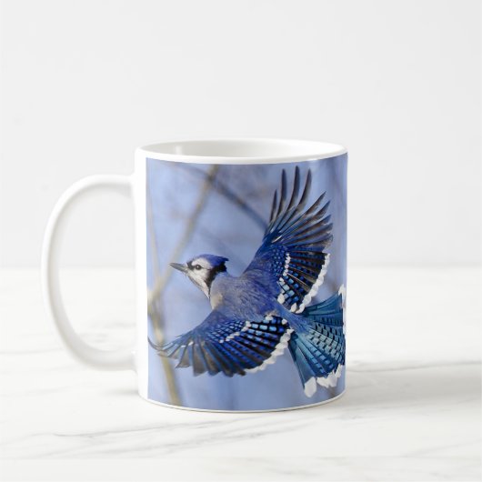 Tasse de geai bleu en vol (Gauche)
