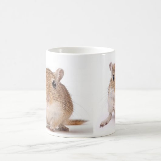 Tasse de gerbille (Centre)