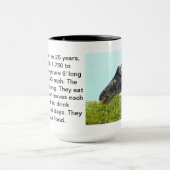 Tasse de girafe (Centre)