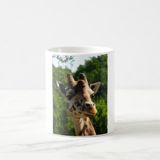 tasse de girafe