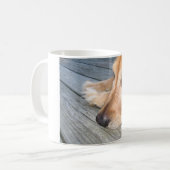Tasse de golden retriever (Devant gauche)
