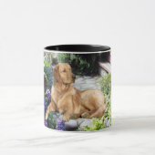 Tasse de golden retriever (Centre)
