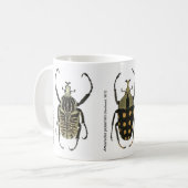 Tasse de Goliath (Devant gauche)