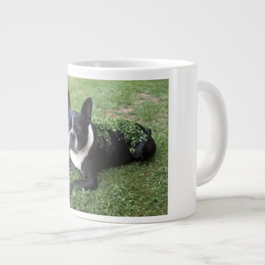 tasse de gombo de terrier de Boston (Devant droit)