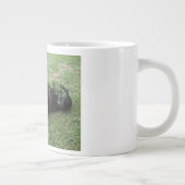 tasse de gombo de terrier de Boston (Droite)