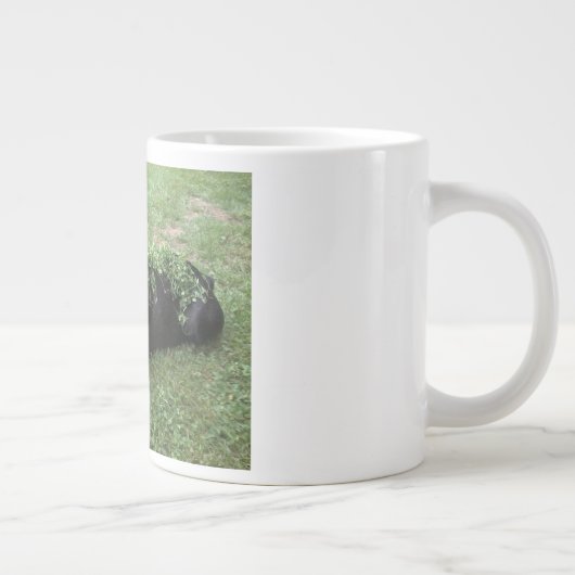 tasse de gombo de terrier de Boston (Droite)