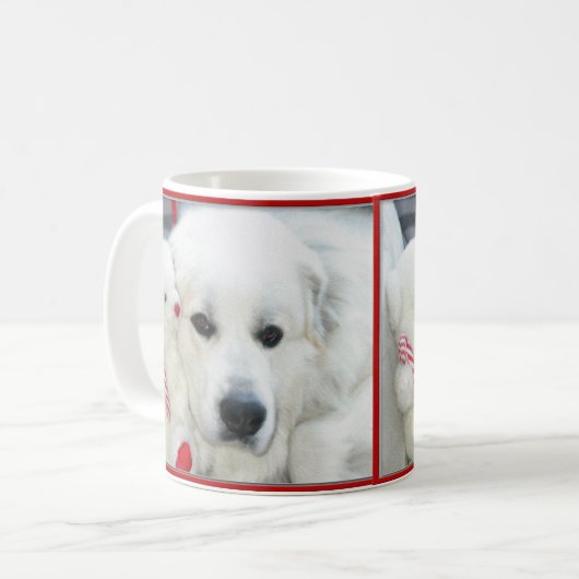 Tasse de Grands Pyrénées (Devant gauche)