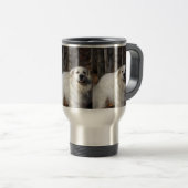 tasse de Grands Pyrénées (Devant droit)