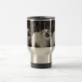 tasse de Grands Pyrénées (Centre)