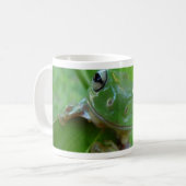 Tasse de grenouille (Devant gauche)